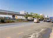 东方盛世花园(二期)-环境绿化