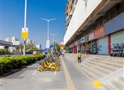 东方盛世花园(二期)-环境绿化