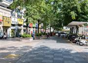 佳兆业可园（六期）-环境绿化