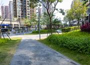 万科麓山（万科麓城四期、金域领峰花园)-环境绿化