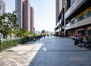 万科麓山（万科麓城四期、金域领峰花园)-环境绿化