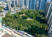 信义假日名城(四期锦绣园)-环境绿化