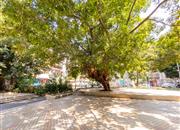 红群楼-环境绿化