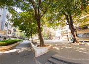 红群楼-环境绿化