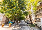 红群楼-环境绿化