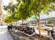 外贸集团大厦-环境绿化