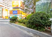 外贸集团大厦-环境绿化