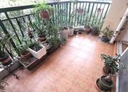 倚山花园（二期）-阳台