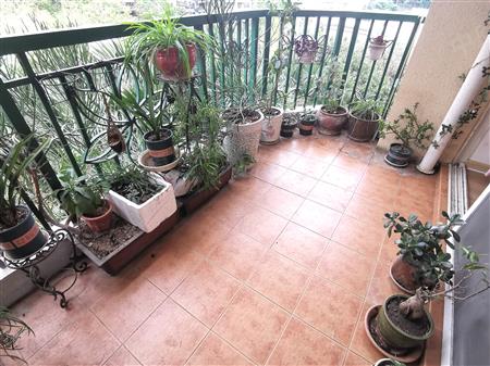 倚山花园（二期）-阳台