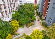 龙悦居四期-环境绿化