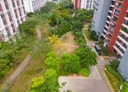 龙悦居四期-环境绿化