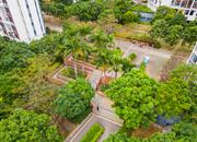 龙悦居四期-环境绿化