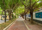 桂苑小区-环境绿化