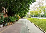 桂苑小区-环境绿化