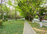 桂苑小区-环境绿化