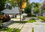 双子湾-环境绿化