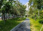 双子湾-环境绿化