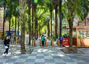 阳光棕榈园（二期）-大门