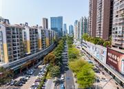 阳光棕榈园（二期）-环境绿化