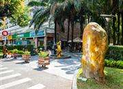 阳光棕榈园（二期）-环境绿化