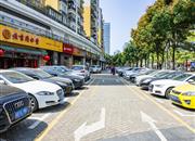 阳光棕榈园（二期）-环境绿化