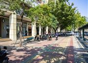 阳光棕榈园（二期）-环境绿化