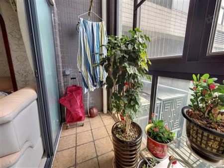 和谐家园-阳台