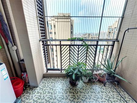 流塘阳光花园-阳台