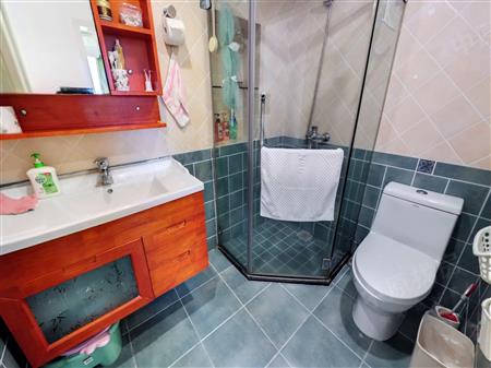 星河国际-卫生间