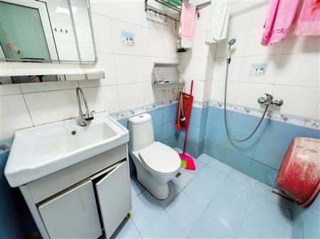 大世纪花园-卫生间