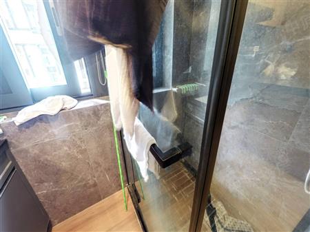 深业东岭花园（二期）-卫生间