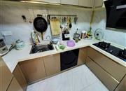 嘉御豪园(信义嘉御山)-厨房