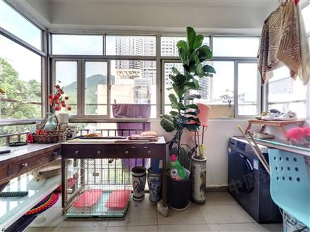 仙桐馨苑（物资公司住宅楼、七层住宅楼、物资公司单身宿舍）-阳台