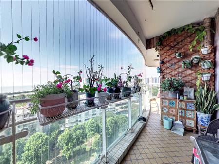 (泰然)碧海红树园-阳台