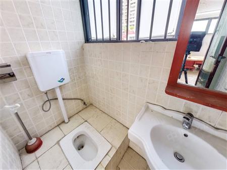 泰华阳光海-卫生间