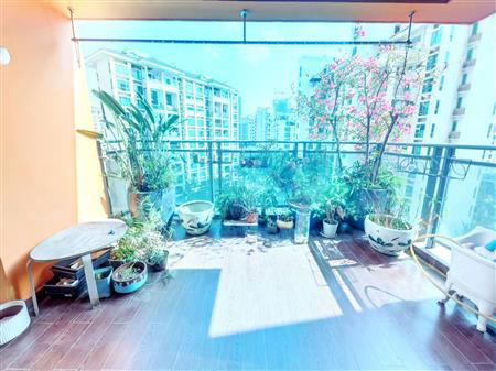 港中旅花园（二期）-阳台