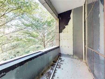 汇龙湾花园(龙华)-阳台