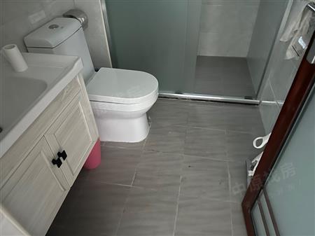 蓝郡公馆大厦-卫生间