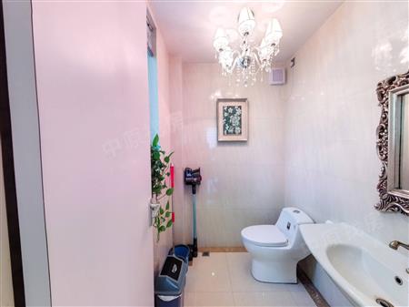 倚山花园（一期）-卫生间