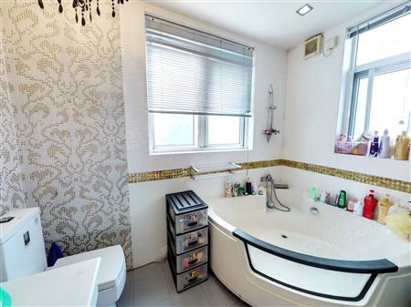 倚山花园（一期）-卫生间