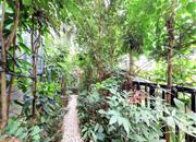 佳兆业新都汇家园（龙岗大道1号）-其他