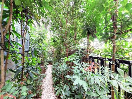 佳兆业新都汇家园（龙岗大道1号）-其他