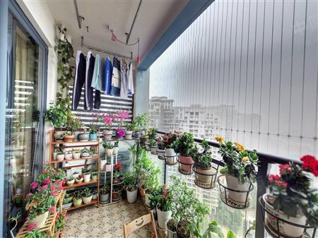 西荟城（二期）-阳台