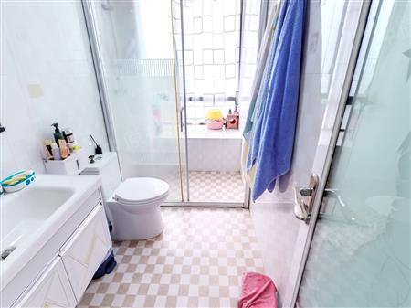 慢城（一期）-卫生间