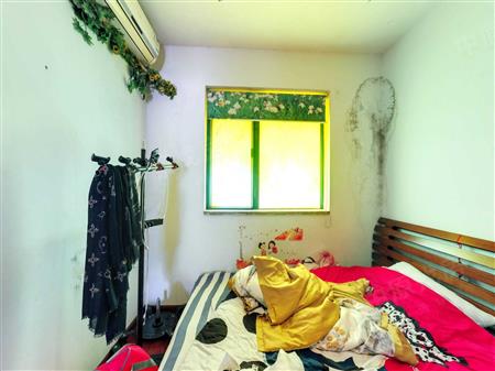 云顶翠峰一期-次卧