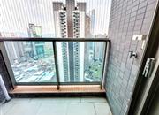 深业东岭花园（一期）-阳台