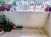 康达尔花园（一、二、三期）-阳台