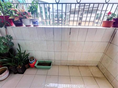 康达尔花园（一、二、三期）-阳台