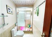 星河丹堤花园-卫生间