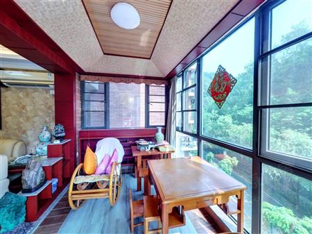 星河丹堤花园-阳台